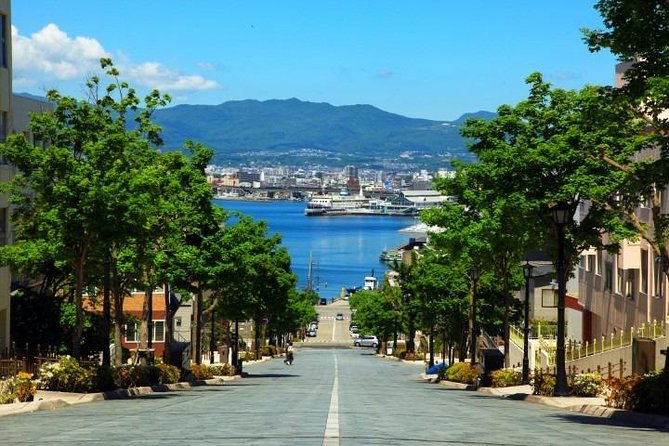 Hakodate 6hr Private Tour with Government-Licensed Guide - Mount Hakodate: the best view, when weather cooperates