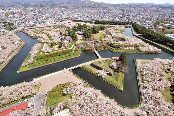 Hakodate 6hr Private Tour with Government-Licensed Guide - Goryokaku Park: Hakodate’s star-shaped story