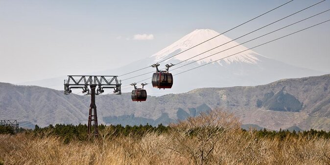 Hakone 6 hour Private Tour with Government-Licensed Guide - Key points to know before booking