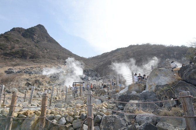 Hakone 6 hour Private Tour with Government-Licensed Guide - Why a private guide helps in Hakone