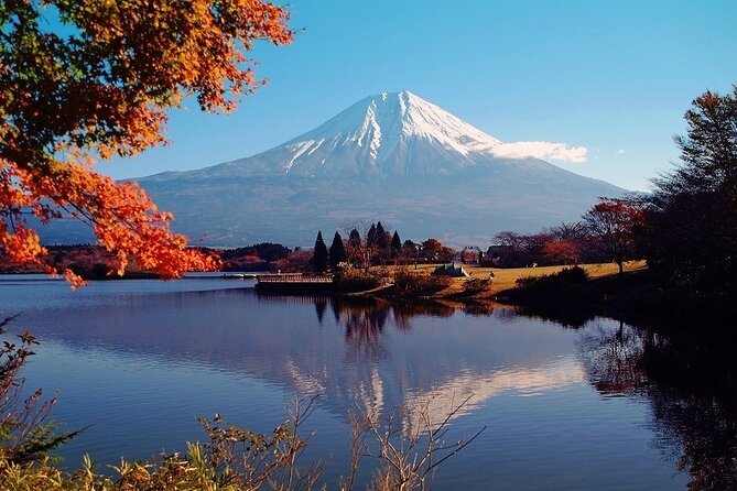 Hakone 6 hour Private Tour with Government-Licensed Guide - Owakudani and the Hakone Ropeway