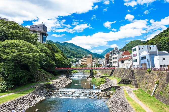 Hakone 6 hour Private Tour with Government-Licensed Guide - Sengokuhara, Choanji Temple, and quieter Hakone