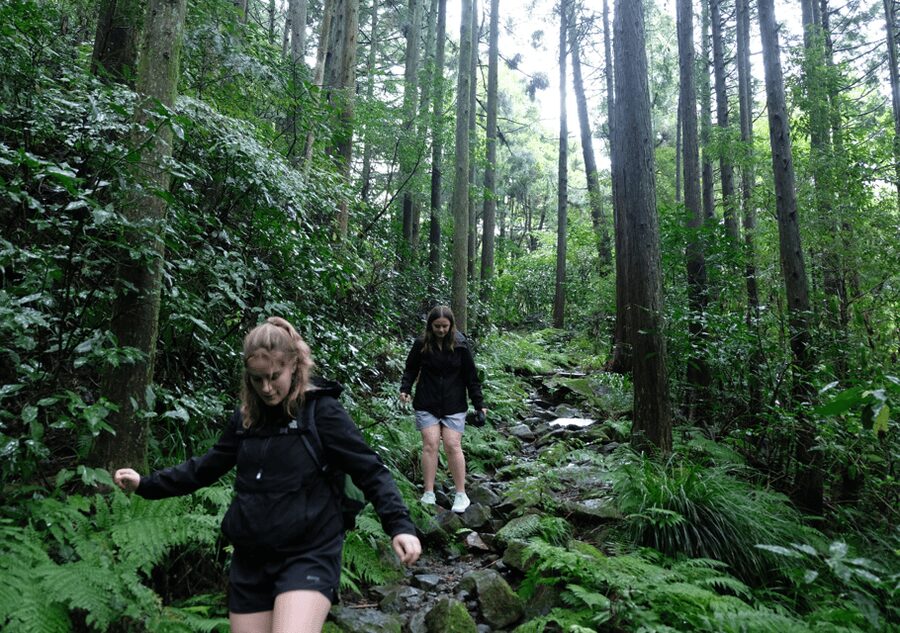 Hakone Hachiri: Old Tokaido Highway Hiking Tour - Who will enjoy this hike most