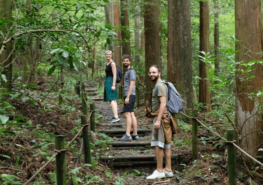 Hakone Hachiri: Old Tokaido Highway Hiking Tour - Why Hakone Hachiri is more than a pleasant walk