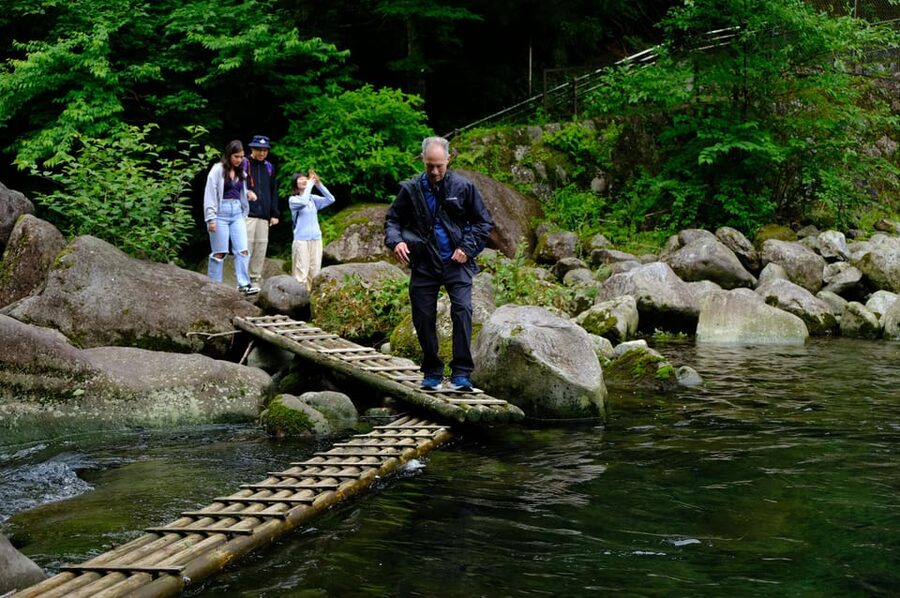 Hakone Hachiri: Old Tokaido Highway Hiking Tour - Crossing Hakone Pass and visiting Yamanaka Castle Ruins