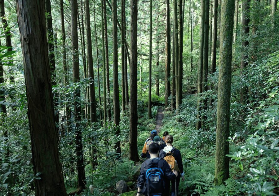 Hakone Hachiri: Old Tokaido Highway Hiking Tour - What the $167 price includes, and what it does not