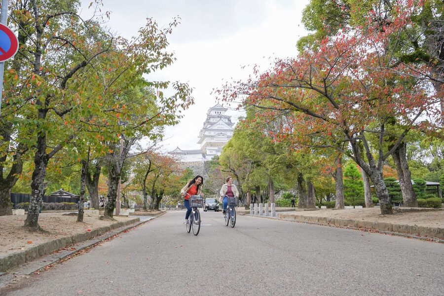 Half-day Himeji Castle Town Bike Tour with Lunch - Timing, meeting point, and practical limits