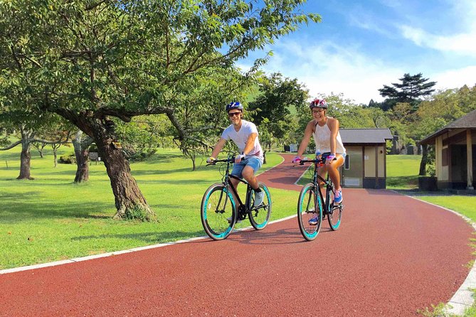 Half Day Izu Kogen Highlands Downhill Cycling Tour - Why the downhill route works so well