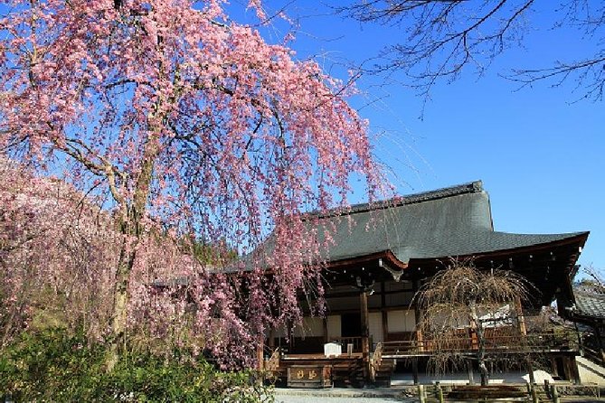 Half Day Kyoto Sagano Bamboo Grove & Arashiyama Walking Tour - Starting at Kyoto Station and Riding to Arashiyama