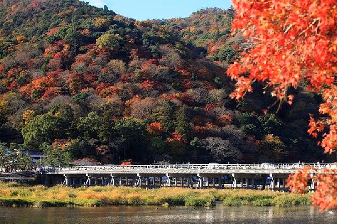 Half Day Kyoto Sagano Bamboo Grove & Arashiyama Walking Tour - Jojakko-ji and the Hillside Views