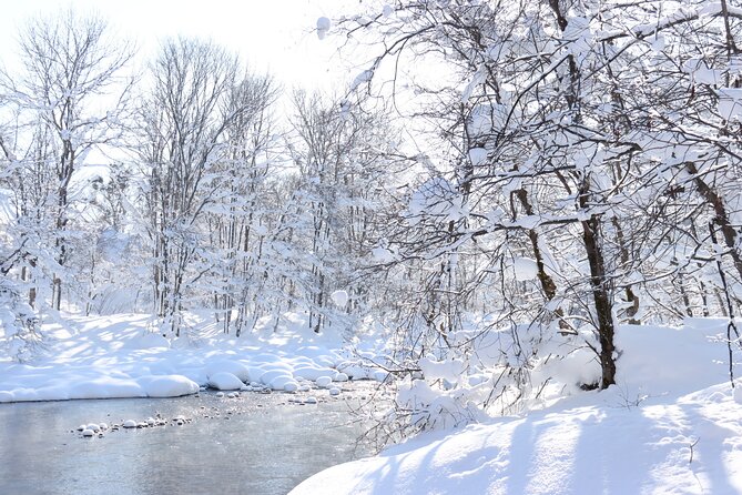 Half Day - Snow View Rafting in Niseko - Who Will Enjoy This Most