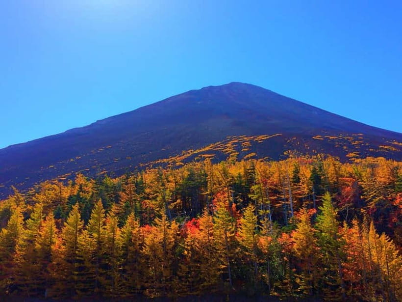 Halfway Up Mt,Fuji, Oshino Hakkai, Kawaguchiko from Tokyo - Key points to know before booking
