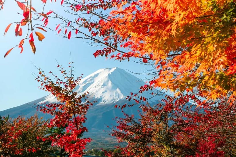 Halfway Up Mt,Fuji, Oshino Hakkai, Kawaguchiko from Tokyo - One hour at Lake Kawaguchi and Kawaguchi Craft Park
