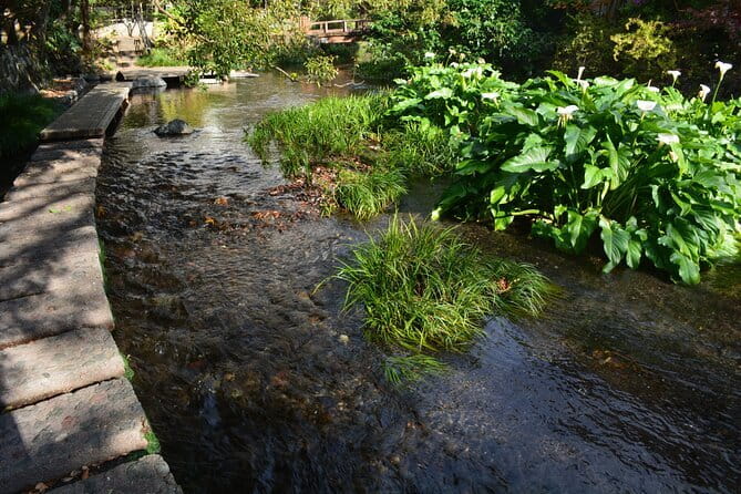 Hike Hakone Hachiri - The Five-Hour Old Tokaido Foot Highway