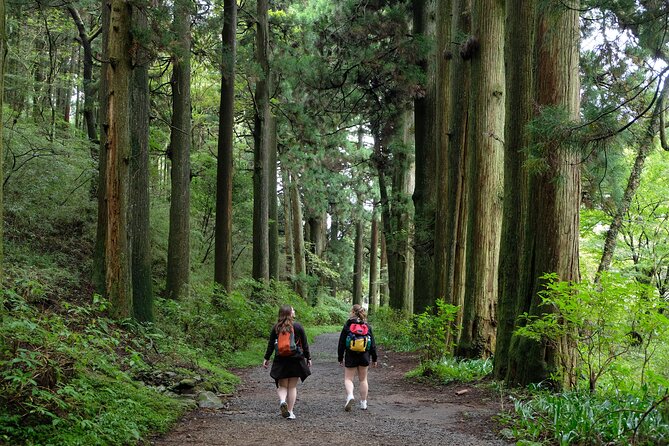 Hike Japan Heritage Hakone Hachiri (Half Day) - Why this is a better look at Hakone than a standard sightseeing circuit