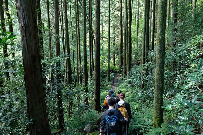 Hike Japan Heritage Hakone Hachiri (Half Day) - The Hakone Checkpoint explains why this route mattered