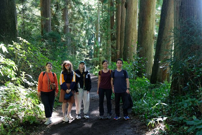 Hike Japan Heritage Hakone Hachiri (Half Day) - Should you book Hike Japan Heritage Hakone Hachiri?