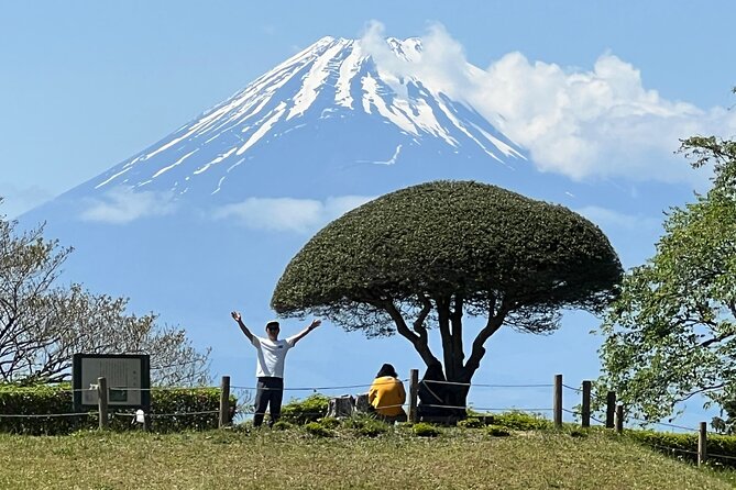 Hike Japan Heritage Hakone Hachiri with certified mountain guide - Key Points to Know Before You Book
