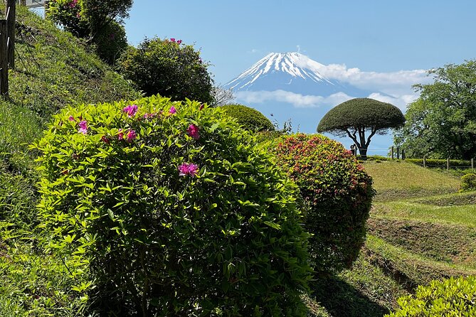Hike Japan Heritage Hakone Hachiri with certified mountain guide - Finishing in Mishima at Mishima Taisha and Genbe River
