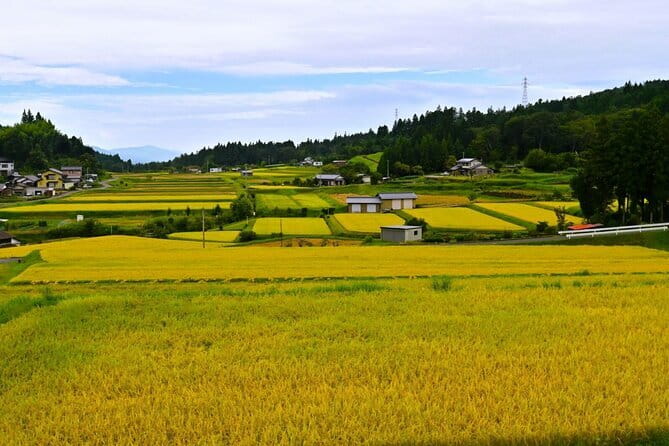 Hiking the Historic Nakasendo Trail [1 Day Tour from Nagoya] - The three-hour walk through rural Japan
