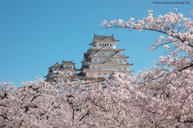 Himeji Castle and Akashi Kaikyo Bridge Walking Tour from Kyoto - The train plan is convenient, but not always relaxing