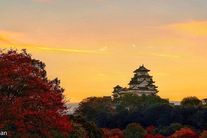 Himeji Half-Day Private Tour with Government-Licensed Guide - Why a private four-hour tour works well in Himeji