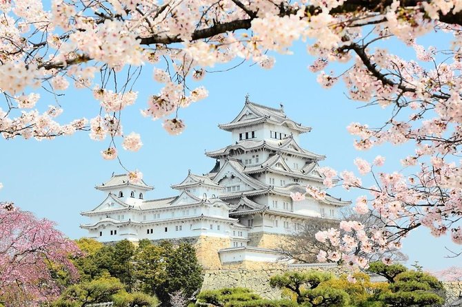 Himeji Half-Day Private Tour with Government-Licensed Guide - The guides make the biggest difference