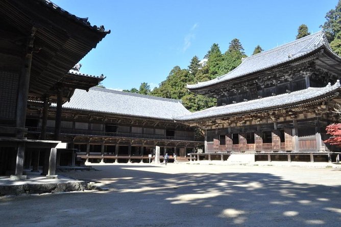 Himeji Half-Day Private Tour with Government-Licensed Guide - Cost, transport, and the real value