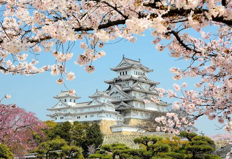 Himeji: Private Customized Tour with Licensed Guide - Himeji Castle, from white walls to wooden stairways