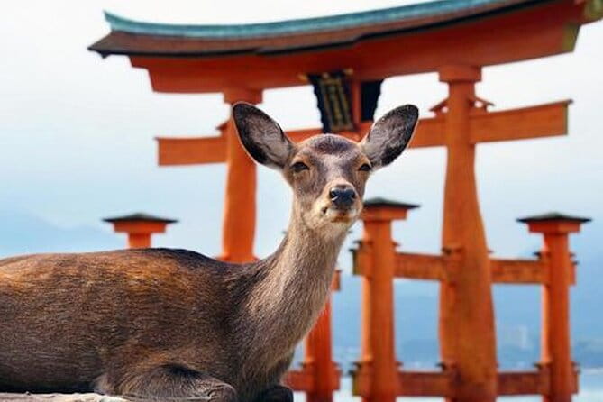 Hiroshima and Miyajima Private Custom Tour with Local Guide - Key points to know before you book