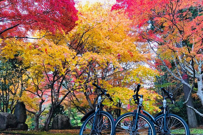 Hiroshima Country Cycling: Explore Rural Life 1 HR from City - E-bikes make Kakeyama possible