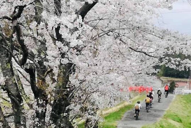 Hiroshima Country Cycling: Explore Rural Life 1 HR from City - Oasa’s quiet main street tells a bigger story