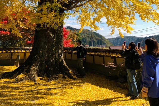 Hiroshima Country Cycling: Explore Rural Life 1 HR from City - Should you book it?