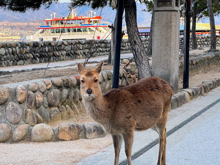 Hiroshima: Hiroshima and Miyajima UNESCO Sites 1-Day Tour - One hour inside the Peace Memorial Museum