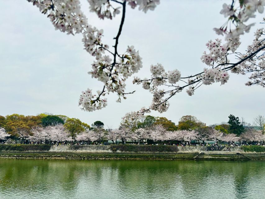 Hiroshima: History of Hiroshima Group Walking Tour - Key points at a glance