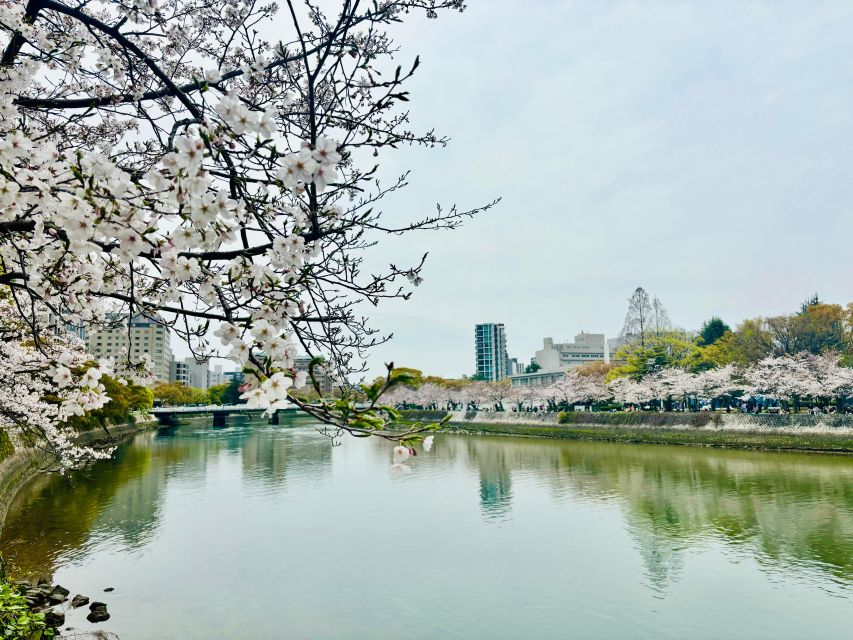 Hiroshima: History of Hiroshima Group Walking Tour - The Peace Memorial Hall and time to reflect