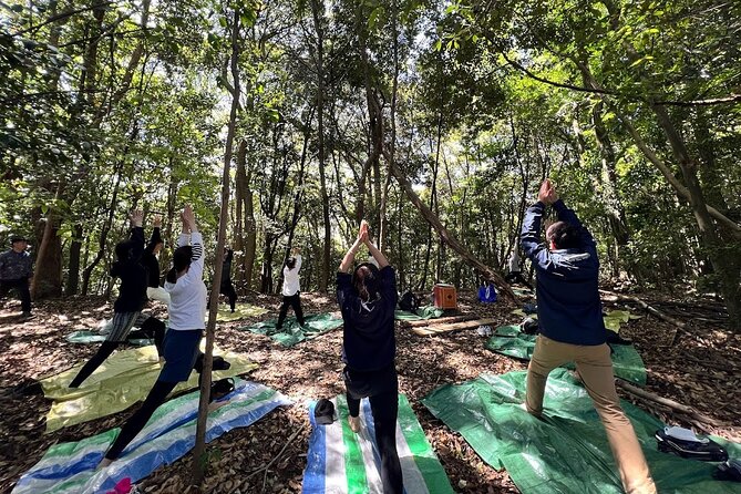 Hiroshima Local guided Hiking Tour&Open-air Tea Ceremony - Hiroshima Toshogu, the first cultural stop