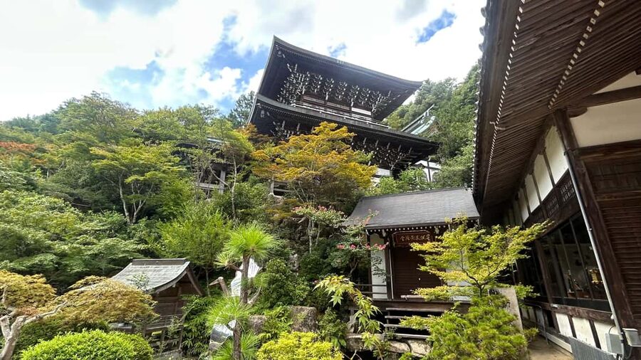 Hiroshima & Miyajima 6.5h Guided Tour – Dome, Park & Shrine - Walking through Peace Memorial Park