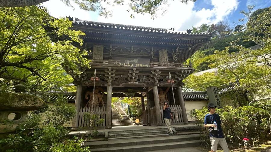 Hiroshima & Miyajima 6.5h Guided Tour – Dome, Park & Shrine - Who should book this Hiroshima and Miyajima tour?