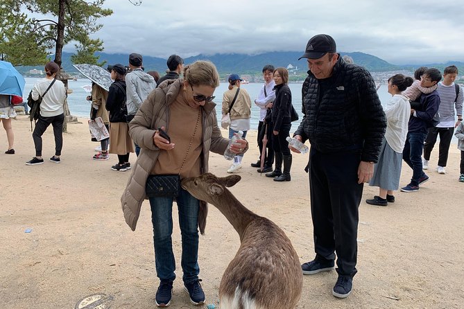 Hiroshima / Miyajima Full-day Private Tour with Government Licensed Guide - Shukkeien Garden for a quieter pause