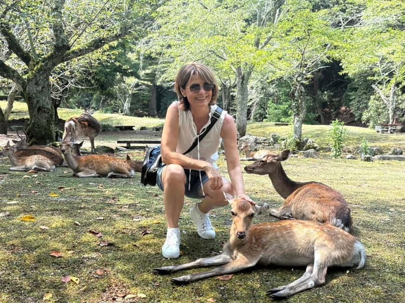 Hiroshima: Miyajima Island Half-Day Tour with Guide - Meeting Miyajima’s deer and managing the first walk
