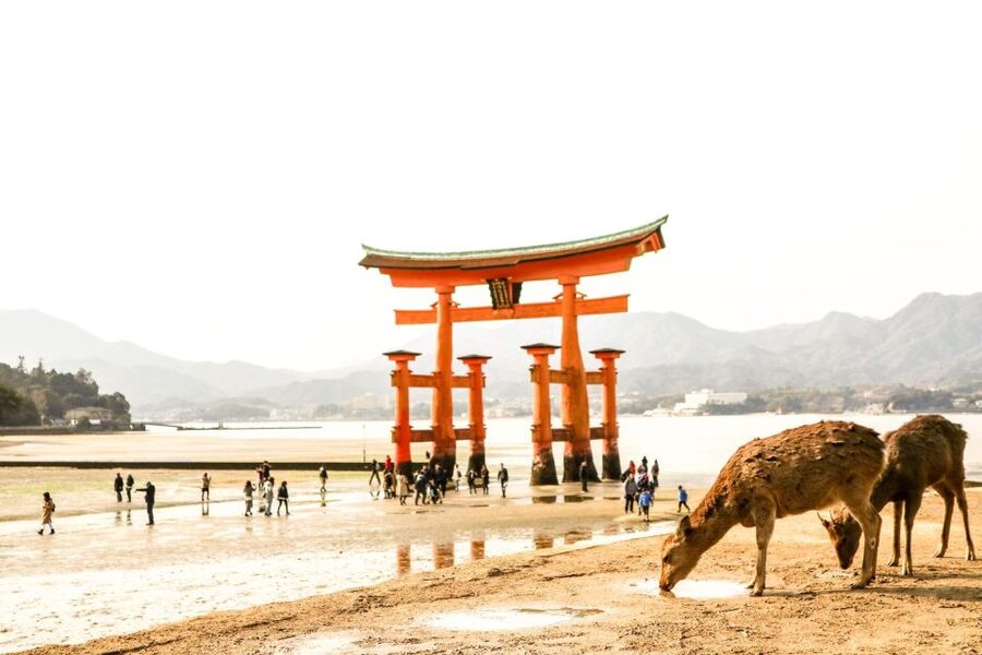 Hiroshima: Miyajima Peace Memorial Icons of Peace and Beauty - Lunch, Momiji Manju, and One Hour to Wander
