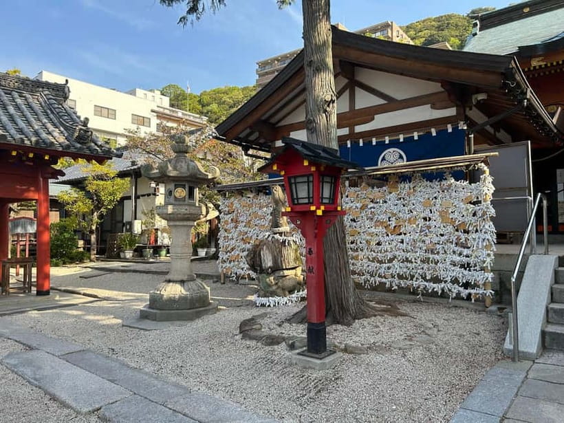 Hiroshima: Morning Hiking Tour with Open-air Tea Ceremony - Nodate tea with Hiroshima below