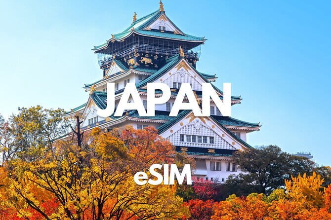 Hiroshima Private Walking Tour with a Local - Practical details that affect the day