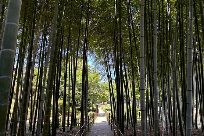 Hiroshima’s Heart: A 4-Hour Private Storytelling Walk - What the private price means for your group