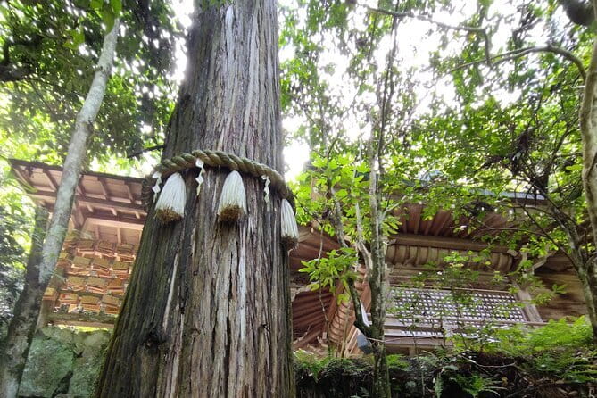 Hiroshima Scenic Cycling Guided Tour - The climb to Mitaki Temple