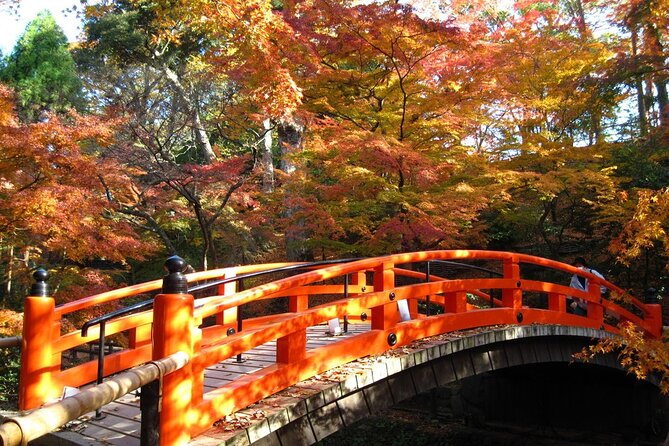 Historical Kyoto E-Bike Tour - Tenryu-ji: gardens, Zen tradition, and a calmer finish