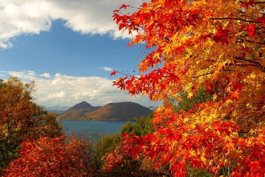 Hokkaido│Noboribetsu & Lake Toya Tour with Ropeway Ticket - Why this Hokkaido day trip works