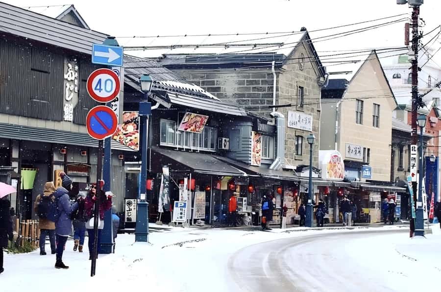 Hokkaido, Sappro, Otaru & Cape Kamui One-day Tour - Winter at Bibai Snowland and Otaru