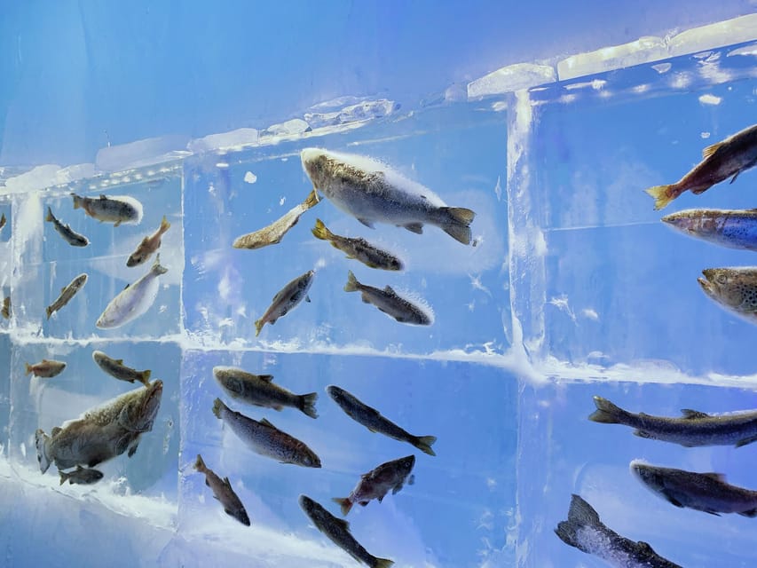 Hokkaido Tour:Sapporo to Noboribetsu, Lake Toya,Ice Festival - Why the timing matters more than the price